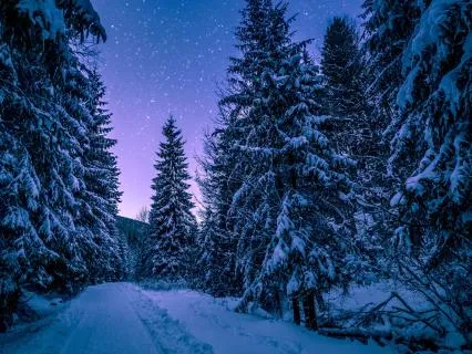 Sleep Meditation To Release The Day