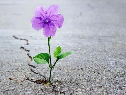 Sleep Meditation: When Life Feels Like It’s Falling Apart