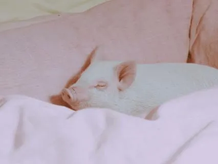 Sleep Meditation With Affirmations For Kapha Dosha