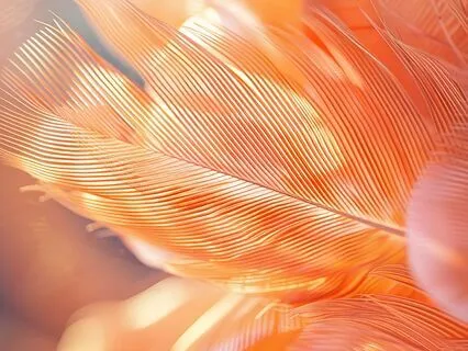 Archangels Michael, Raphael & Uriel Healing Sleep Meditation