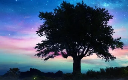 Sleep Meditation With Positive Affirmations To Manifest