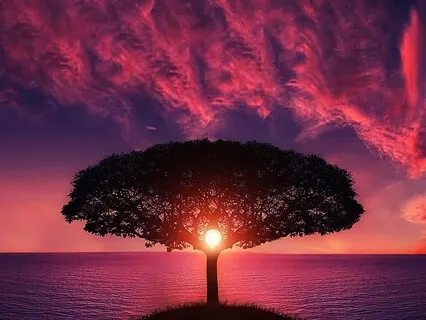 Sleep Meditations: Proverbs