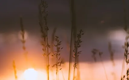 Sleep Meditations: Titus 