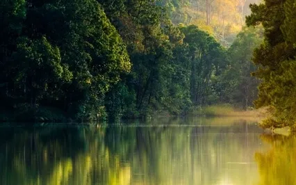 Sleep Mental Relaxation 