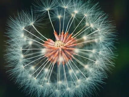 Sleep Mode Activated – Instant Binaural Sleep