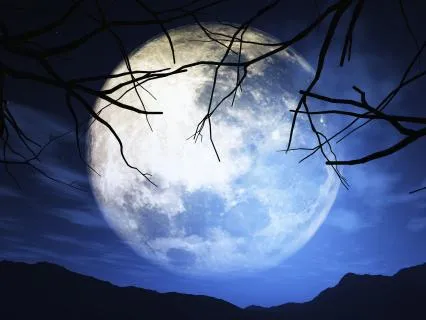 Sleep Music [8 Hours]: Soft Piano in Nature