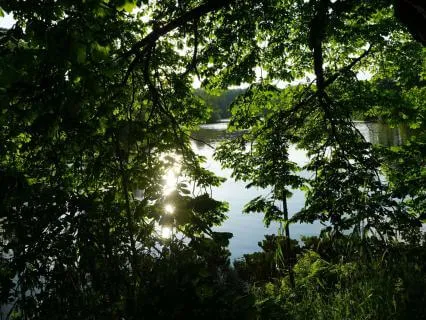 Sleep Music - A Soundful Nights Sleep