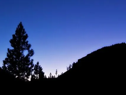 Sleep Music | Alpha Waves Heal Damage