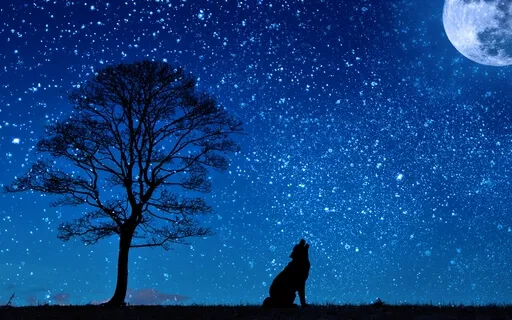 Sleep Music - Ambient Rain