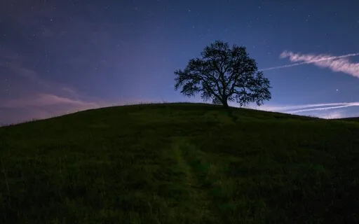 Sleep Music & Heal The Soul