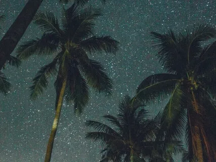 Sleep Music & Healing For The Wounded Soul