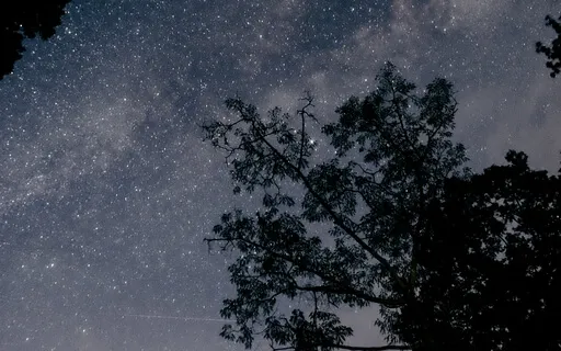 Sleep Music & Spiritual Wealth