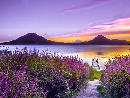 Sleep Music - Beautiful Dream