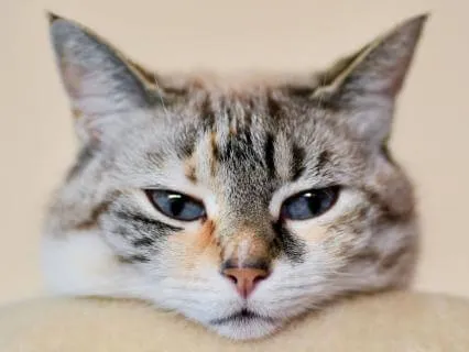 Sleep Music For Anxiety Relief