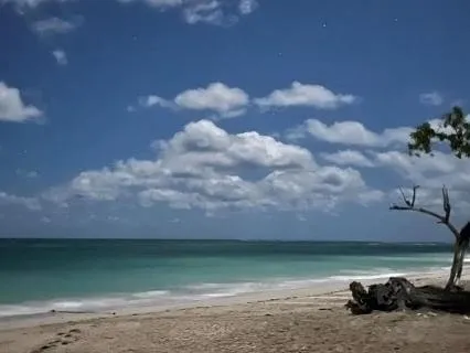 Sleep Music For Deep Delta Sleep (1 Hour)