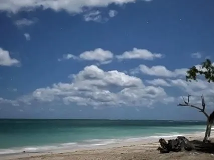 Sleep Music For Deep Delta Sleep (20 mins)