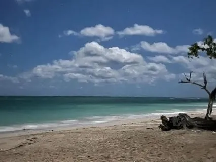 Sleep Music For Deep Delta Sleep (8 hours)