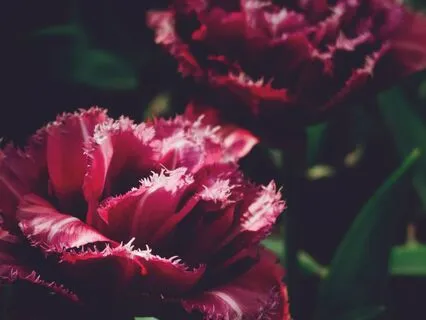 Sleep Music for Feeling Held