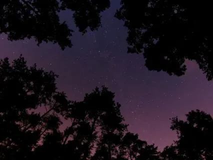 Sleep Music For Insomnia And Anxiety