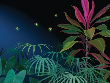 Sweet Dreams Sleepyhead