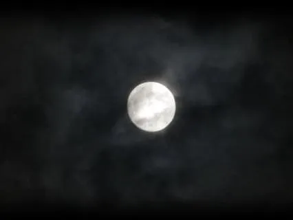 Sleep Music - Healing Sounds