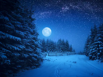 Deep Sleep - Imaging The Inner Self