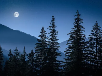 Sleep Music - Inside Movie