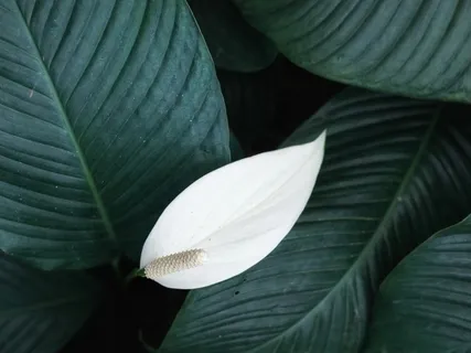 Deep Sleep - Loving One's Self