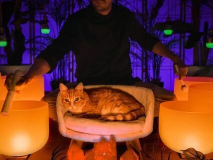 Sleep Music No One Is Talking About