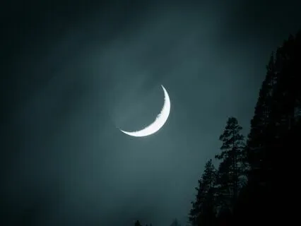 Sleep Music & Release Your Mind