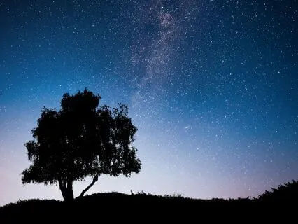 Sleep Music - Remove All Negative Energy While You Sleep