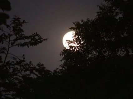 Sleep Music With Guided Intro For Background 8 1/2 Hours