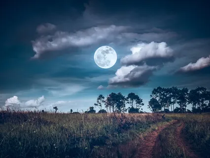 Sleep Night (Dormir A Noite)