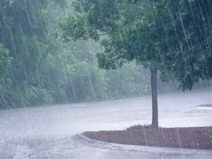 Sleep Noise Collection: Rain Spectrum (Heavy Downpour)