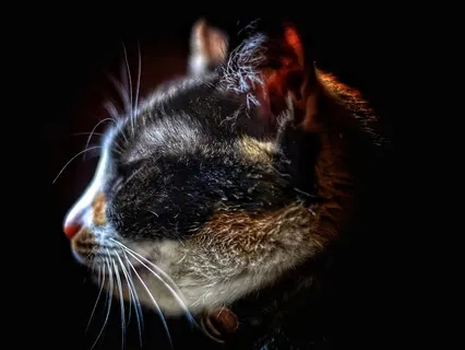 Sleep Now Meditation