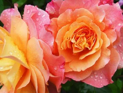 Sleep Peacefully (8 Hours)