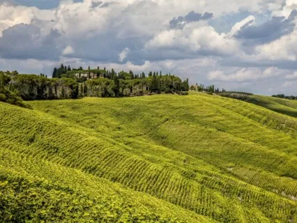 Sleep Peacefully Meditation