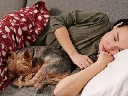 Sleep Peacefully With Your Pet