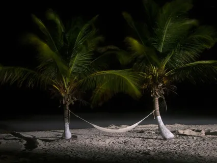 Sleep + Bedtime Story 