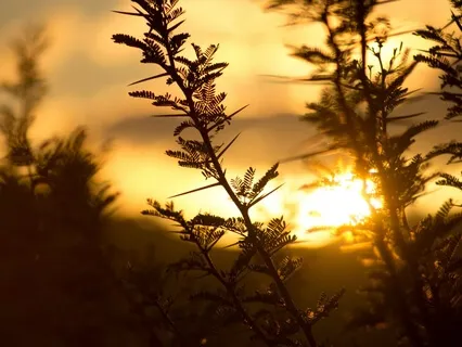 Sleep Practice With Solar Plexus Chakra Affirmations