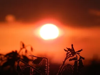 Sleep Practive With Sacral Chakra Affirmations