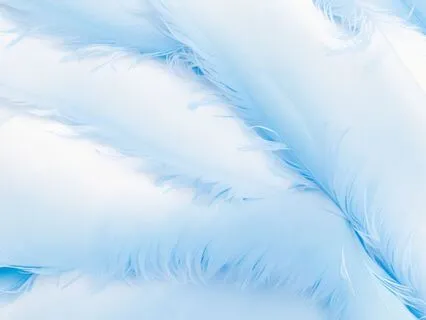 Sleep And Raise Your Frequency With Beings Of Love & Light