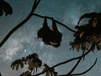 Sleep Reflects Your Inner State