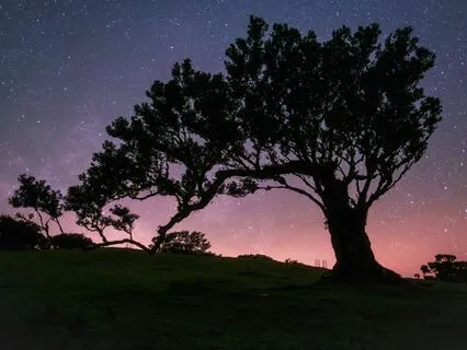 Sleep Relationships: Harmonious Rest