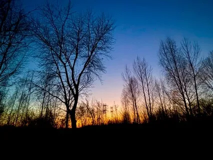 Sleep, Relaxation, Health And Happiness - Musical Meditation