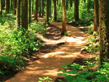 Sleep Renewal: Calm Ambient Tones for Full-Body Reset