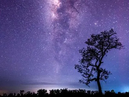 Sleep Reset: 396Hz Release & Deep Rest Music