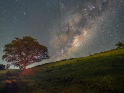 Sleep’s Embrace: Let Go and Relax