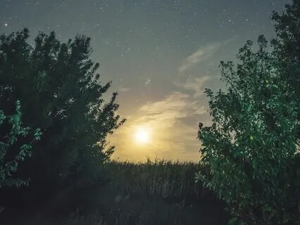 Sleep's Gentle Embrace