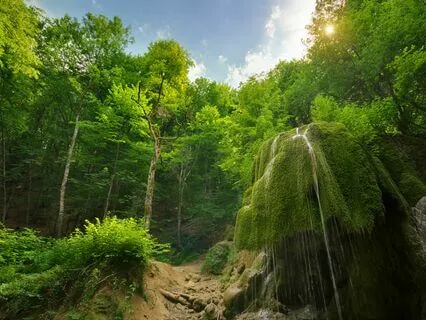 Sleep Sanctuary: Calm Your Anxiety